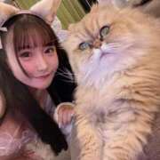 ヒメ日記 2025/05/23 13:04 投稿 ♪りな♪ 水色りぼん