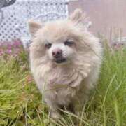 ヒメ日記 2025/06/05 11:02 投稿 ♪りな♪ 水色りぼん