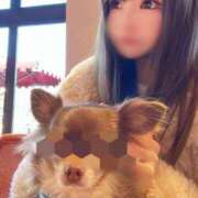 ヒメ日記 2024/12/15 19:43 投稿 ふわり♪ 水色りぼん