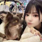 ヒメ日記 2025/04/04 22:23 投稿 ふわり♪ 水色りぼん