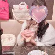 ヒメ日記 2025/04/11 13:53 投稿 ふわり♪ 水色りぼん