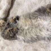 ヒメ日記 2025/10/11 19:33 投稿 ふわり♪ 水色りぼん