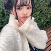 ヒメ日記 2025/11/27 08:43 投稿 ふわり♪ 水色りぼん