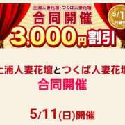 ヒメ日記 2025/05/11 11:42 投稿 あおい モアグループ 土浦人妻花壇