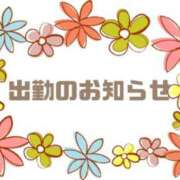 かなこ　体験入店 急遽ですが 脱がされたい人妻 町田・相模原店