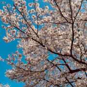 ヒメ日記 2025/04/05 14:36 投稿 歩美（あゆみ） 女々艶 大和店