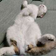 ヒメ日記 2025/04/20 19:26 投稿 歩美（あゆみ） 女々艶 大和店