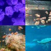 ヒメ日記 2025/05/02 16:49 投稿 歩美（あゆみ） 女々艶 大和店