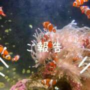 ヒメ日記 2025/05/03 01:22 投稿 歩美（あゆみ） 女々艶 大和店