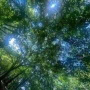 ヒメ日記 2025/05/04 18:51 投稿 歩美（あゆみ） 女々艶 大和店