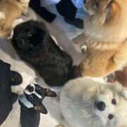 ヒメ日記 2025/06/21 01:42 投稿 歩美（あゆみ） 女々艶 大和店