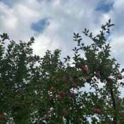 ヒメ日記 2025/11/07 17:42 投稿 歩美（あゆみ） 女々艶 大和店