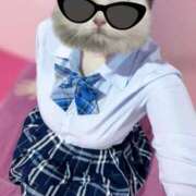 ヒメ日記 2025/05/26 00:22 投稿 ゆら 萌えカワ