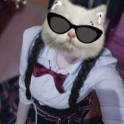 ヒメ日記 2025/06/05 09:22 投稿 ゆら 萌えカワ