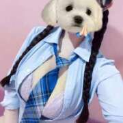 ヒメ日記 2025/06/05 14:32 投稿 ゆら 萌えカワ