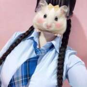 ヒメ日記 2025/09/19 00:33 投稿 ゆら 萌えカワ