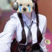 ヒメ日記 2025/11/04 00:32 投稿 ゆら 萌えカワ