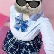 ヒメ日記 2025/11/05 09:47 投稿 ゆら 萌えカワ