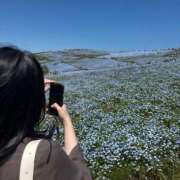 ヒメ日記 2025/05/01 12:22 投稿 さやか セレブクエスト‐Kasukabe‐