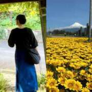 ヒメ日記 2025/05/08 12:07 投稿 さやか セレブクエスト‐Kasukabe‐