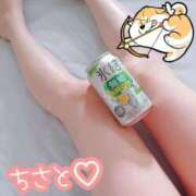 ヒメ日記 2025/04/09 15:28 投稿 ちさと セレブクエスト‐Kasukabe‐