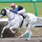 ヒメ日記 2024/12/22 12:57 投稿 あすな セレブクエスト‐Kasukabe‐