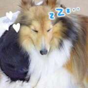 ヒメ日記 2025/06/27 15:14 投稿 あすな セレブクエスト‐Kasukabe‐