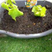 ヒメ日記 2025/07/05 11:33 投稿 あすな セレブクエスト‐Kasukabe‐