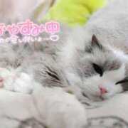 ヒメ日記 2025/11/28 10:35 投稿 あすな セレブクエスト‐Kasukabe‐