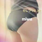 ヒメ日記 2025/03/01 12:28 投稿 みわ セレブクエスト‐Kasukabe‐