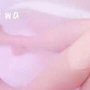 ヒメ日記 2025/04/26 10:08 投稿 みわ セレブクエスト‐Kasukabe‐