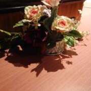 ヒメ日記 2025/02/15 11:47 投稿 いろ セレブクエスト‐Kasukabe‐