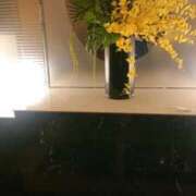 ヒメ日記 2025/03/04 16:34 投稿 いろ セレブクエスト‐Kasukabe‐