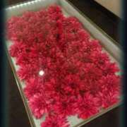 ヒメ日記 2025/03/13 16:17 投稿 いろ セレブクエスト‐Kasukabe‐