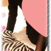 ヒメ日記 2025/03/15 09:47 投稿 いろ セレブクエスト‐Kasukabe‐