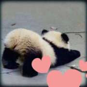 ヒメ日記 2025/03/17 21:27 投稿 いろ セレブクエスト‐Kasukabe‐