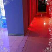 ヒメ日記 2025/05/25 16:37 投稿 いろ セレブクエスト‐Kasukabe‐