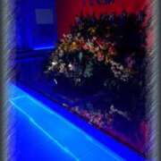 ヒメ日記 2025/05/28 16:29 投稿 いろ セレブクエスト‐Kasukabe‐