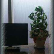 ヒメ日記 2025/06/09 16:02 投稿 いろ セレブクエスト‐Kasukabe‐