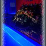 ヒメ日記 2025/06/18 16:02 投稿 いろ セレブクエスト‐Kasukabe‐