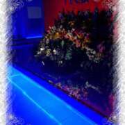 ヒメ日記 2025/06/30 17:22 投稿 いろ セレブクエスト‐Kasukabe‐