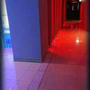 ヒメ日記 2025/08/26 16:09 投稿 いろ セレブクエスト‐Kasukabe‐