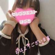 ヒメ日記 2025/03/25 13:14 投稿 はづき セレブクエスト‐Kasukabe‐