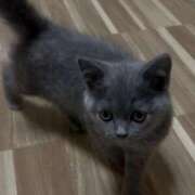 ヒメ日記 2025/10/29 23:45 投稿 はづき セレブクエスト‐Kasukabe‐