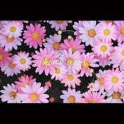 ヒメ日記 2025/09/23 15:45 投稿 のん セレブクエスト‐Kasukabe‐