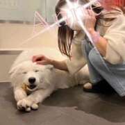 ヒメ日記 2025/01/30 22:49 投稿 あん 奥鉄オクテツ神奈川店（デリヘル市場グループ）