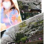 ヒメ日記 2025/04/08 11:52 投稿 あん 奥鉄オクテツ神奈川店（デリヘル市場グループ）