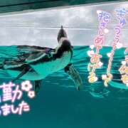 ヒメ日記 2025/08/27 21:47 投稿 ひな ぽちゃデリ！Mix Juice 上尾店