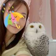 ヒメ日記 2025/06/07 14:18 投稿 葵 シャトーペトラ