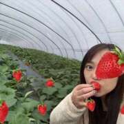 ヒメ日記 2026/02/20 20:08 投稿 葵 シャトーペトラ